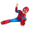 Spidey (3t-4t)