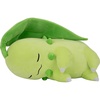 Chikorita