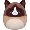 Snowshoe Cat