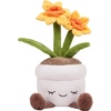 Daffodil