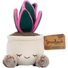 Oyster Plant