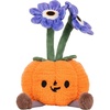 Pumpkin Flower