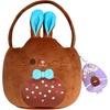 Chocolate Bunny