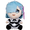 Rem