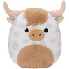 Spotted Highland Cow