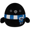 Ravenclaw Raven